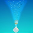 Champagne Made in Moon