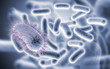 Diseased Bacteria