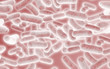 Red Bacteria