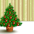 christmas fir