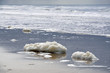 Pollution at the beach