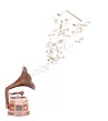 vintage music box