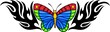 The butterfly with blue wings in the centre .