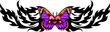 The butterfly with pink wings with red heart in the centre.