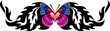The butterfly with pink heart in the centre.