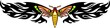 Moth with pink and yellow wings .