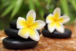 Spa still life