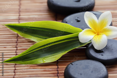 Foto: Spa still life Spa still life
