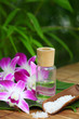 spa still life