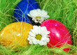 Buntes OsterNest