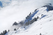 paysage de montagne 2