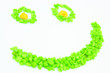 sMile Stone