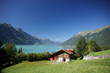 alp