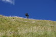 brienzer rothorn