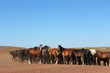 Horse herd grazing on the steppe red clay hills