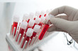 Photo: Medical science Medical science
