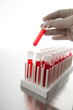 Photo: Medical science Medical science