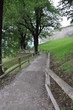 Caminho