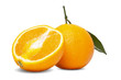oranges isolated