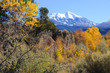 La Sal Mountains in Fall