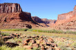 Salt Wash and Colorado River