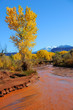 Desert Stream in Fall with Snowy Mountains