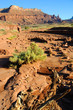 Fisher Towers at Sunset near Moab
