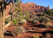 Fisher Towers at Sunset near Moab, Utah