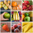 composition fruits
