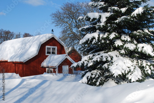 Foto: Winter Winter