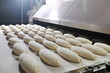 bread factory production bread factory production