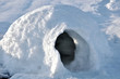 Photo: igloo igloo