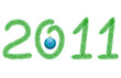 new year 2011