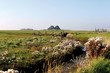 Hallig Hooge