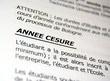 Année césure