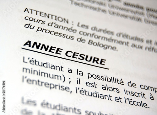 Photo: Année césure Année césure