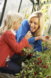Young woman with child harvesting tomatoes