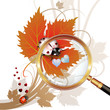 Vector illustration of a ladybug on leaf