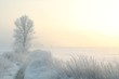Foto: Winter landscape with a tree on a foggy morning Winter landscape with a tree on a foggy morning