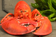 homard face
