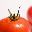 tomate