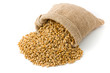 Wheat