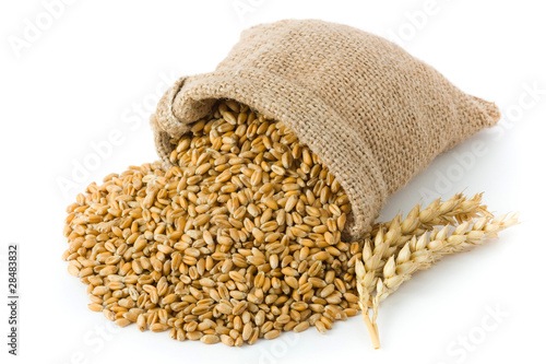 Foto: Wheat Wheat