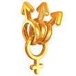 Adultery or a polygamy - male symbols attached on female symbol