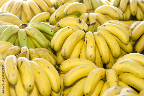 Photo: A Bunch of Tropical Malaysia Bananas Group Together A Bunch of Tropical Malaysia Bananas Group Together