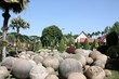 Round Rock in the garden