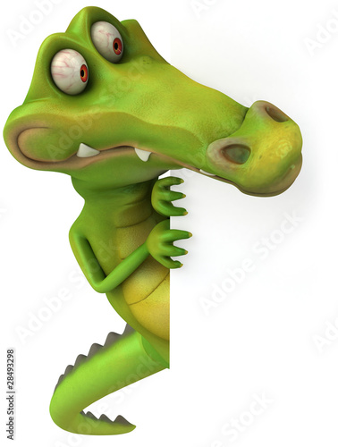 Crocodile