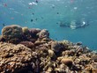 Red Sea