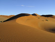 Dünenlandschaft
