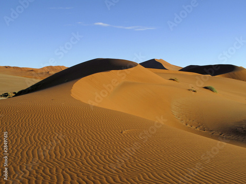 Foto: Dünenlandschaft Dünenlandschaft